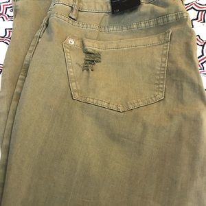 Lane Bryant Mid-Rise Skinny Jeans - NWT